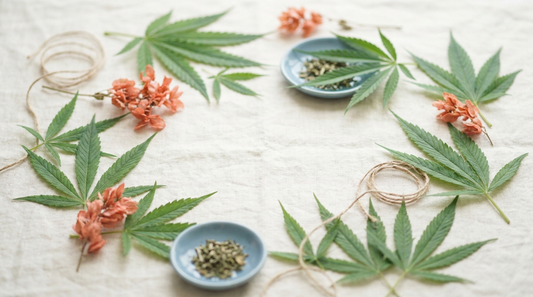 Hemp botanical flat-lay — Elevated Beverages